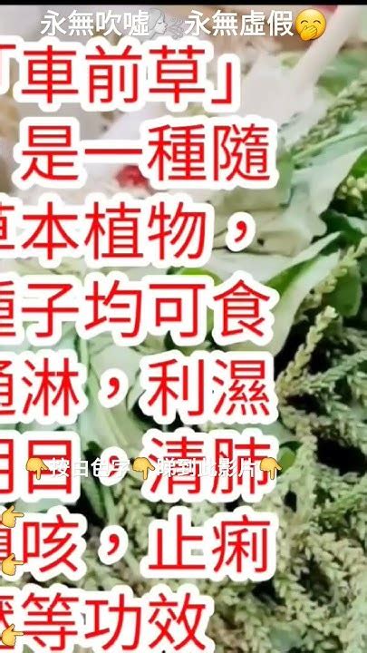 田灌草禁忌|算命師：田灌草禁忌改變命運